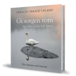 Gi sorgen rom – men ikke gi den hele huset - Bilde 2