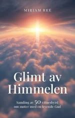 Glimt av himmelen av Miriam Ree