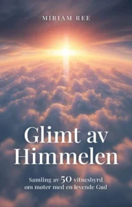 Glimt av himmelen av Miriam Ree