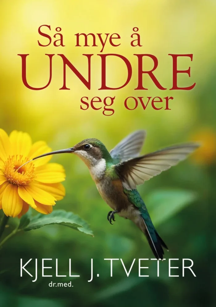 Så mye å undre seg over - Bilde 1