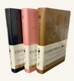 Studentbibelen fokus