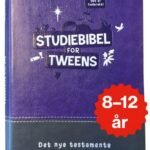 Studiebibel for tweens - lilla/grå kunstskinn