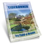 Tidebønner (E-bok)